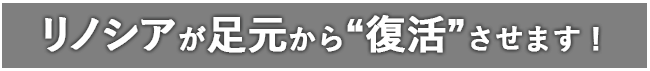 RENOXIAが新しい風のご提案