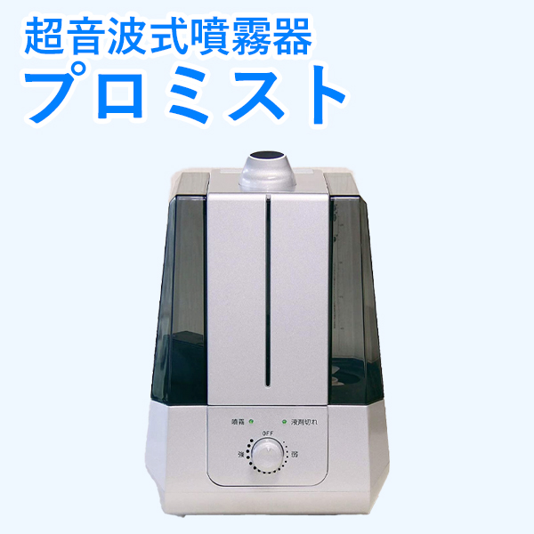 プロミスト