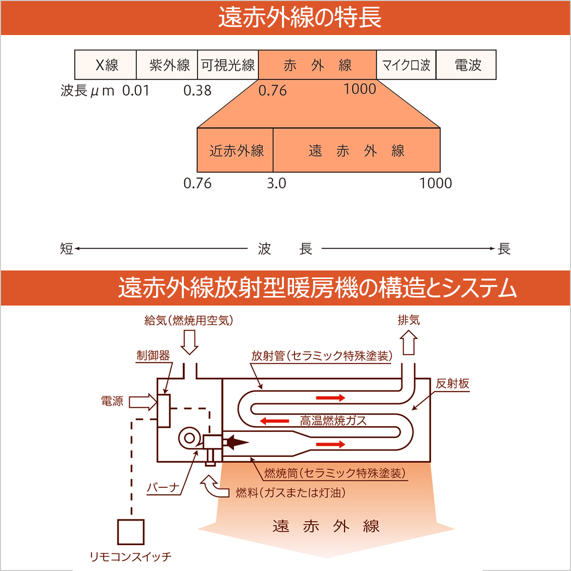 ダンビーム：遠赤外線の主な特徴と構造